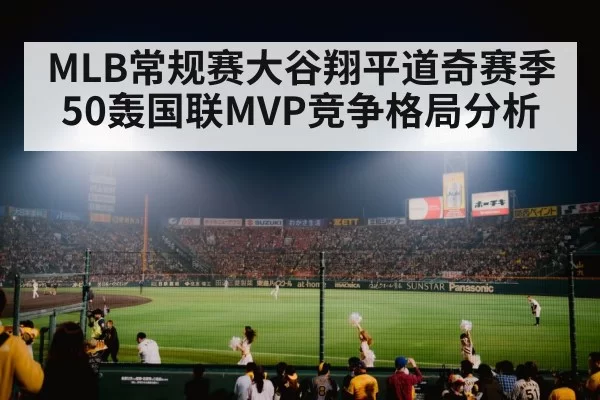 baseball stadium crowd night