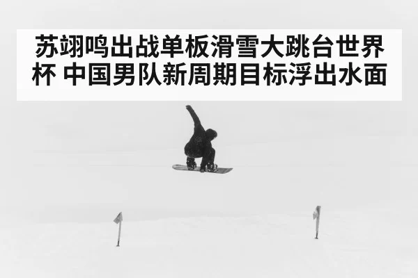 苏翊鸣出战单板滑雪大跳台世界杯 中国男队新周期目标浮出水面